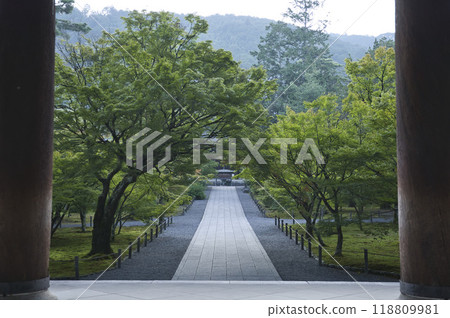 The approach to Nanzenji Temple and green maples from the Sanmon Gate 3 The approach to Nanzenji Temple and green maples from the Sanmon Gate 3 118809981