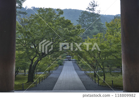 The approach to Nanzenji Temple and green maples from the Sanmon Gate 4 The approach to Nanzenji Temple and green maples from the Sanmon Gate 4 118809982