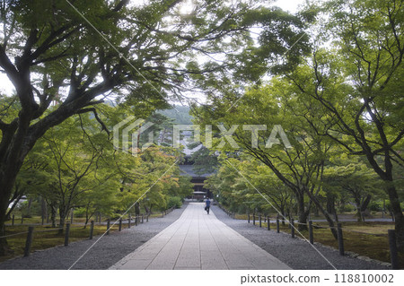 南禪寺藍楓隧道與寂靜通道 7 118810002