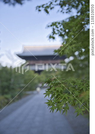 Nanzenji Temple Green Maple Leaves and Sanmon Gate 5 Nanzenji Temple Green Maple Leaves and Sanmon Gate 5 118810050