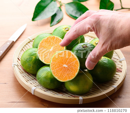 秋天的味道:早蜜柑、薩摩蜜柑(藍色和黃色混合的柑橘)、早蜜柑 秋天的味道:早蜜柑、薩摩蜜柑(藍色和黃色混合的柑橘)、早蜜柑 118810270