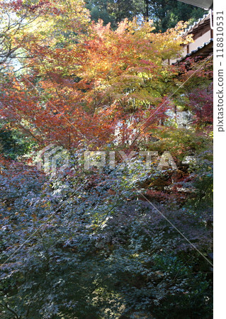Hiroshima Buttsuji Temple Hiroshima Buttsuji Temple 118810531