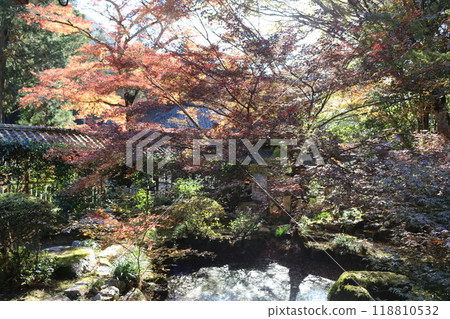 Hiroshima Buttsuji Temple Hiroshima Buttsuji Temple 118810532