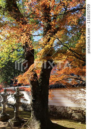 Hiroshima Buttsuji Temple Hiroshima Buttsuji Temple 118810709