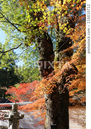 Hiroshima Buttsuji Temple Hiroshima Buttsuji Temple 118810712