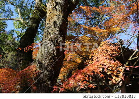 Hiroshima Buttsuji Temple 118810813