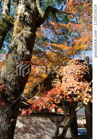 Hiroshima Buttsuji Temple Hiroshima Buttsuji Temple 118810814