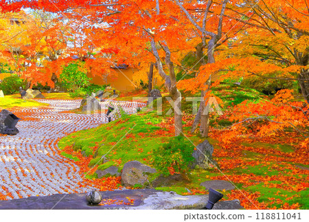 圓通院園，秋葉鮮豔 118811041