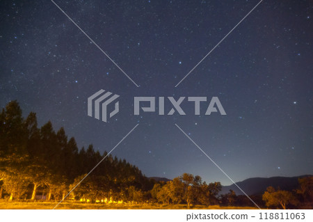 A quiet night with Metasequoia trees and shining stars A quiet night with Metasequoia trees and shining stars 118811063