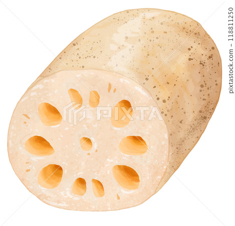 1個逼真的蓮藕切塊 1個逼真的蓮藕切塊 118811250