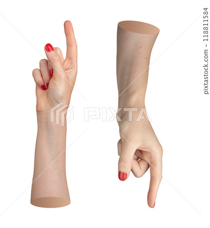 Index finger, pointer pointing up and down, hand gesture for indicating, showing direction. Isolated 118811584