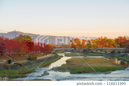 京都夜景 鴨川秋景 京都夜景 鴨川秋景 118811995