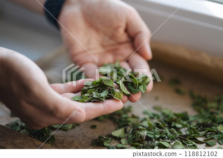Close-up of human hands scatters mint leaves on wax paper. Natural drying at home 118812102