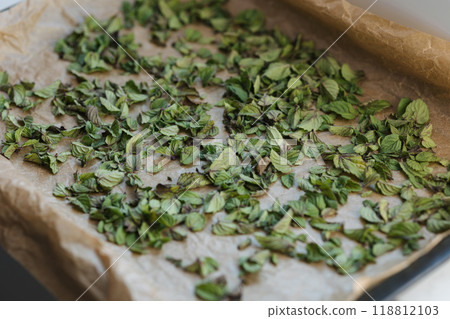 Green dried mint on wax paper. Natural drying at home 118812103