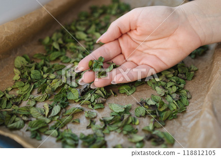 Female hand hold mint leaf. Natural drying at home. Green dried mint on wax paper. 118812105
