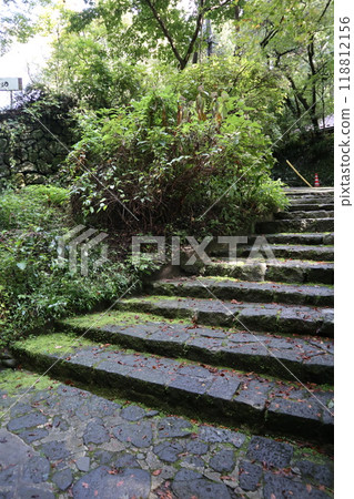 邀請安靜，長滿青苔的石階 118812156