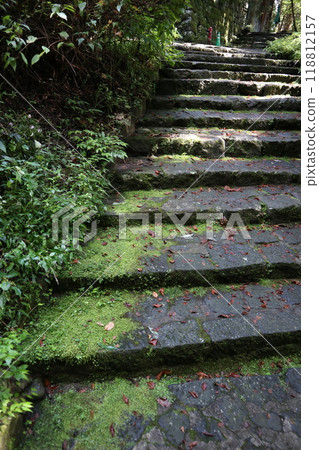 An invitation to silence, moss-covered stone steps 118812157