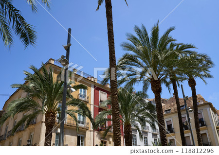 Palm trees with a building in the background 118812296