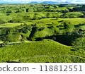 Vast hills and grasslands of "Oshidoishi Hill" in Minamioguni, Aso 02 118812551