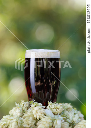 dark beer in glass and hop cones near on green natural background 118812695