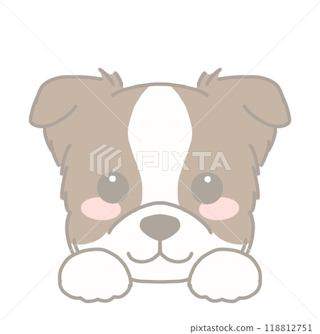 邊境牧羊犬圖 118812751