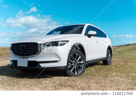 white SUV type passenger car white SUV type passenger car 118812760