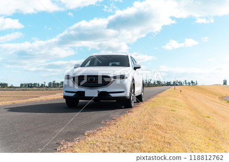 white SUV type passenger car 118812762