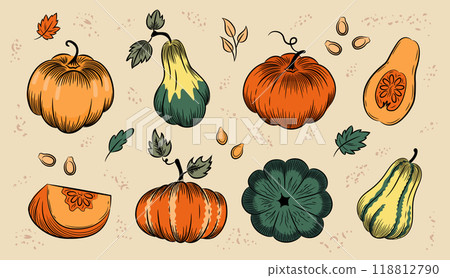 Autumn pumpkin sketch set. Whole pumpkins of various shapes, piece of pumpkin, leaves and seeds. Color hand-drawn vector illustration clipart. 118812790