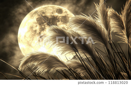 Autumn silver grass and full moon Autumn silver grass and full moon 118813020