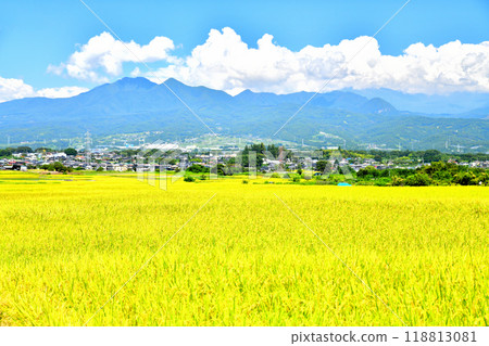 從山梨縣韭崎市旭町上條眺望韭崎IC和茅嶽山（山梨縣韭崎市） [2024.9] 118813081