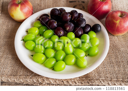 Shine Muscat and Nagano Purple on a plate 118813561