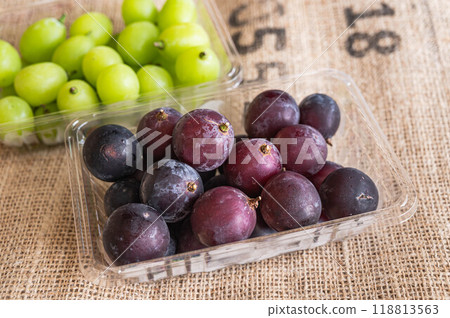 Nagano Purple - Nagano Prefecture 118813563