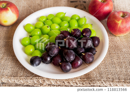 Nagano Purple and Shine Muscat on a plate Nagano Purple and Shine Muscat on a plate 118813566