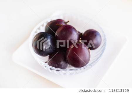 Nagano Purple 118813569