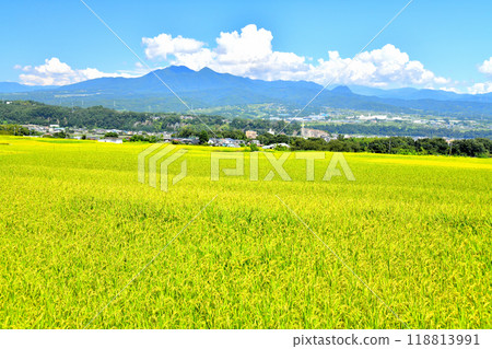 View of Nirasaki City Hall and Mt. Kayagatake from Kamijo, Asahi-cho, Nirasaki City, Yamanashi Prefecture (Nirasaki City, Yamanashi Prefecture) [September 2024] 118813991