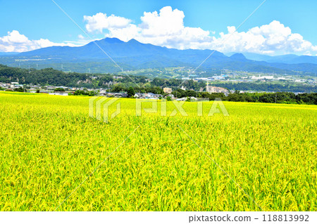從山梨縣韭崎市旭町上條眺望韭崎市政廳和茅嶽山（山梨縣韭崎市） [2024.9] 118813992
