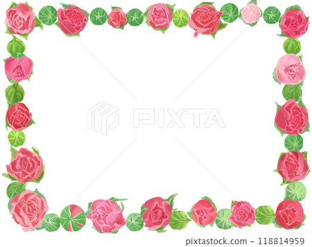 Pink rose frame Pink rose frame 118814959