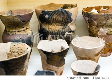 埼玉縣富士見市、水子貝塚公園、水子貝塚展覽館 埼玉縣富士見市、水子貝塚公園、水子貝塚展覽館 118816227