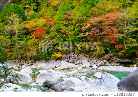 Autumn leaves of the Aji valley Autumn leaves of the Aji valley 118816327