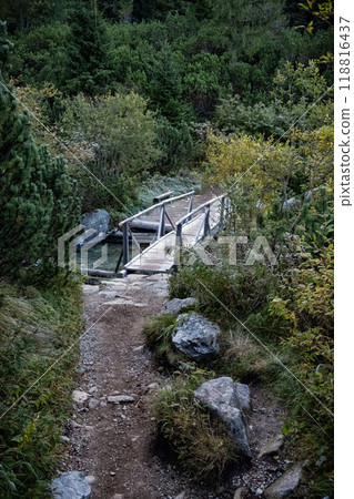 Wooden bridge in High Tatras, Slovakia, autumn scene Wooden bridge in High Tatras, Slovakia, autumn scene 118816437