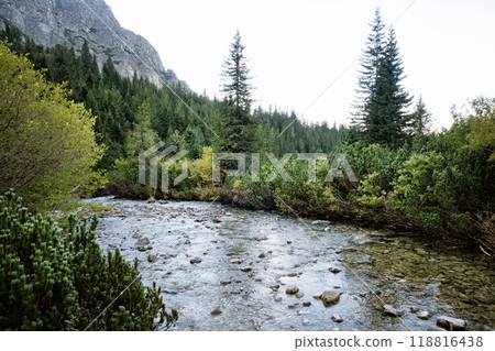 Hincov creek in High Tatras, Slovakia, autumn scene 118816438