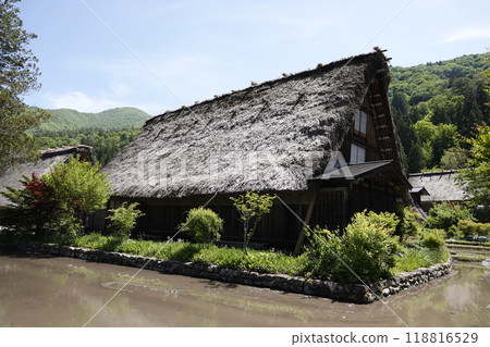 白川鄉美麗的清新綠色山脈和合掌造房屋 118816529