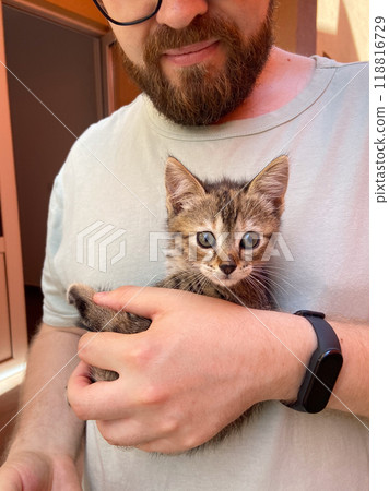 Millennial man in a straw hat and sunglasses holds lovingly at a small kitten in his hands. Tenderness moment captures the bond between human and pet. Themes of care and affection Millennial man in a straw hat and sunglasses holds lovingly at a small kitten in his hands. Tenderness moment captures the bond between human and pet. Themes of care and affection 118816729