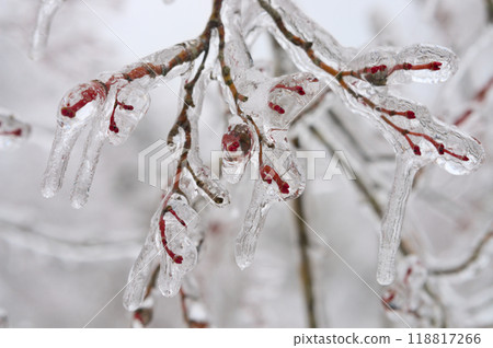 Rain ice Rain ice 118817266