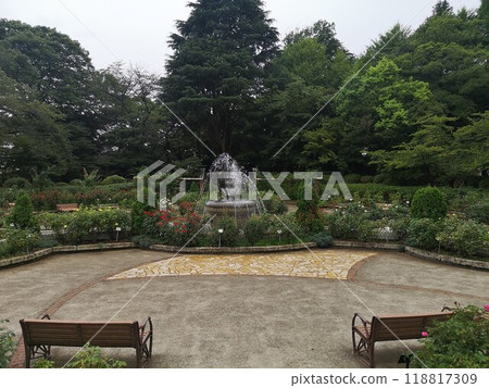 市川市見公園內的風景 118817309