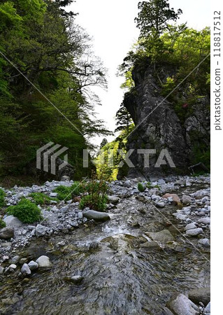 Kinmon Gate in Fresh Green 118817512