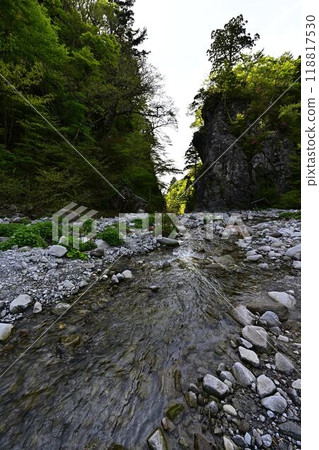 Kinmon Gate in Fresh Green 118817530