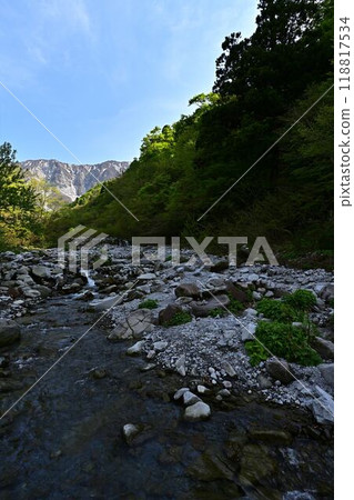 Oyama of the fresh green Oyama of the fresh green 118817534