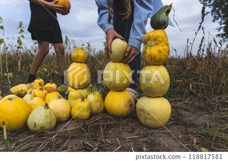 Children build a pumpkin tower in a field in the village in the evening 118817581
