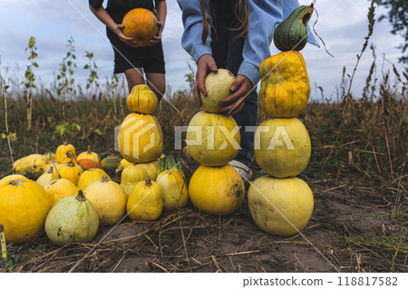 Children build a pumpkin tower in a field in the village in the evening 118817582